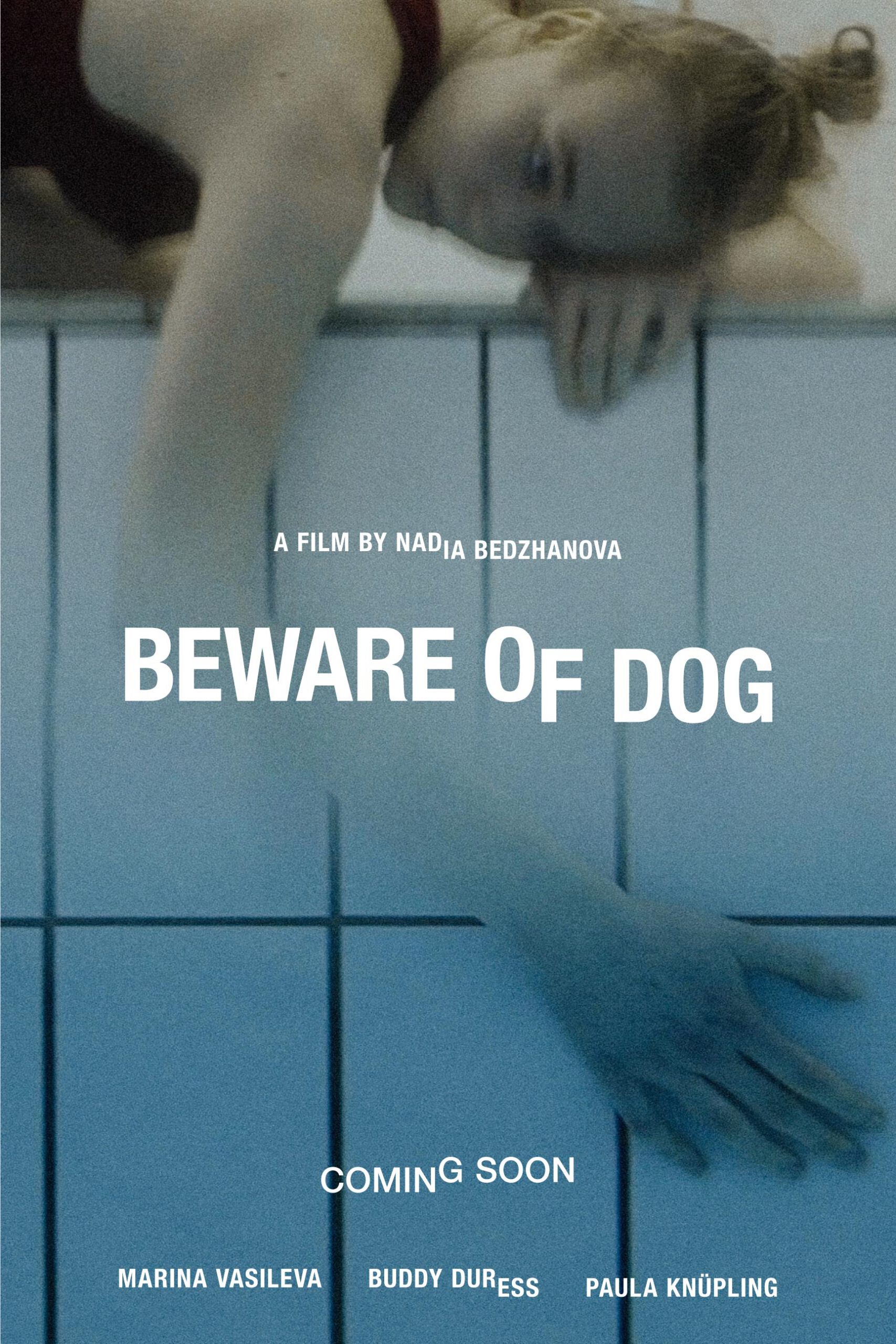 ดูหนังออนไลน์ฟรี Beware of Dog (2020)
