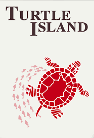 ดูหนังออนไลน์ฟรี The Turtle Island (2021)  ผจญภัยเกาะเต่าปีศาจ